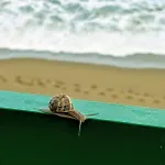Апартаменты Rincon De Mar