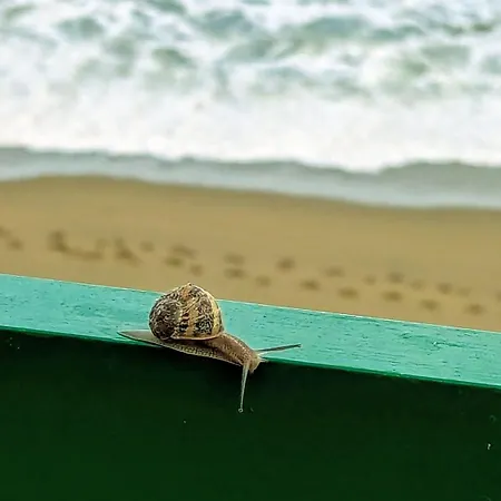 Apartment Rincon De Mar