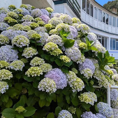 Apartment Rincon De Mar Gijón
