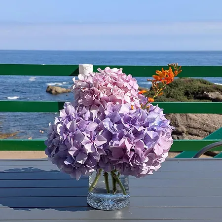 Rincon De Mar דירה